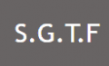 Societe-de-Gestion-et-de-Transactions-Fresnel.png